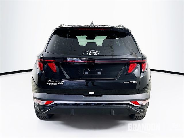 2024 Hyundai Tucson Hybrid Blue