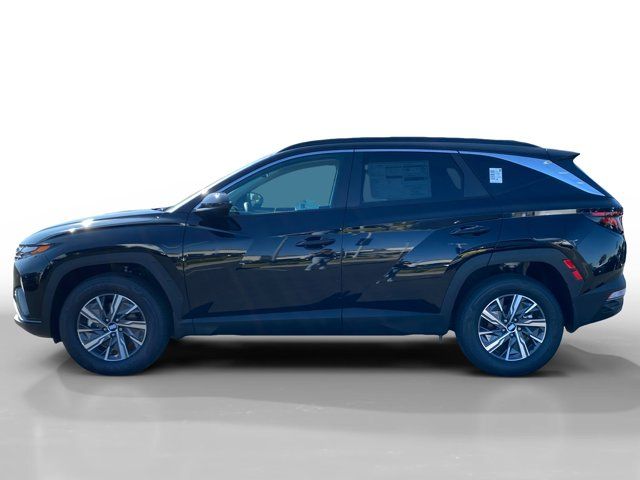 2024 Hyundai Tucson Hybrid Blue