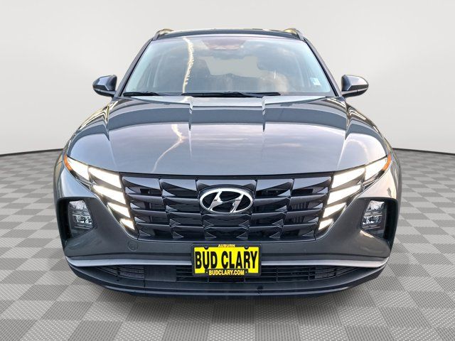 2024 Hyundai Tucson Hybrid Blue