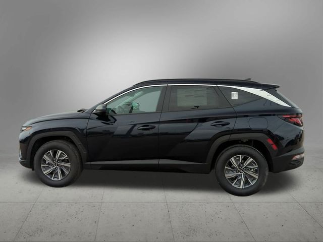 2024 Hyundai Tucson Hybrid Blue