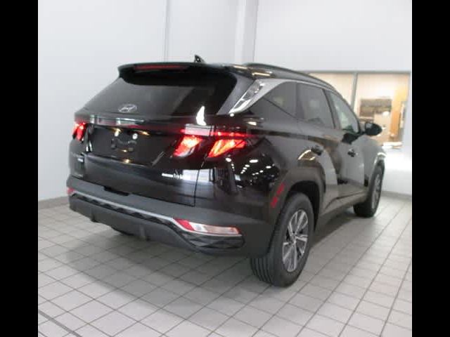 2024 Hyundai Tucson Hybrid Blue