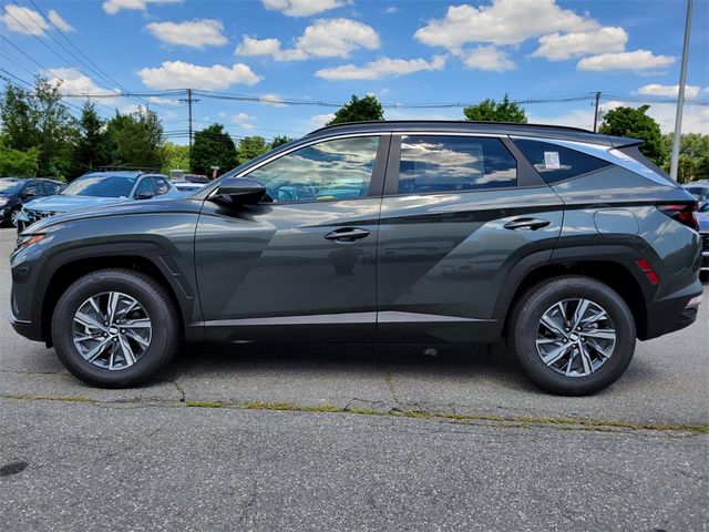 2024 Hyundai Tucson Hybrid Blue