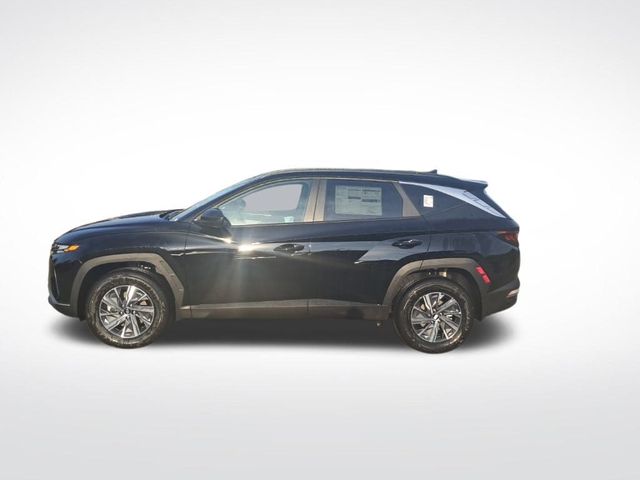 2024 Hyundai Tucson Hybrid Blue