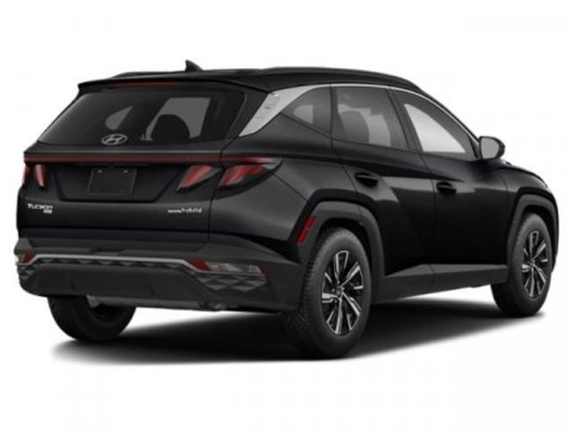 2024 Hyundai Tucson Hybrid Blue