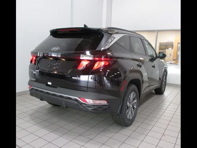 2024 Hyundai Tucson Hybrid Blue