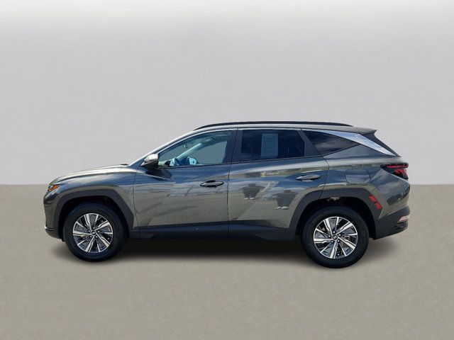 2024 Hyundai Tucson Hybrid Blue