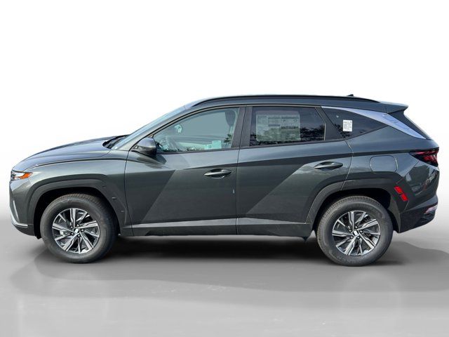 2024 Hyundai Tucson Hybrid Blue