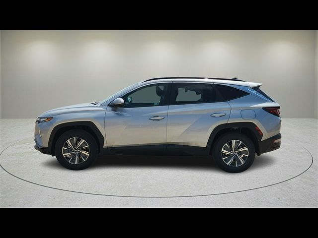 2024 Hyundai Tucson Hybrid Blue