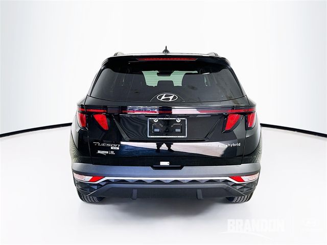 2024 Hyundai Tucson Hybrid Blue