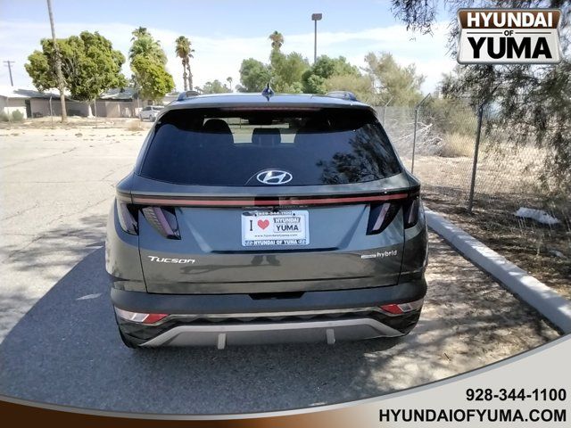 2024 Hyundai Tucson Hybrid Limited