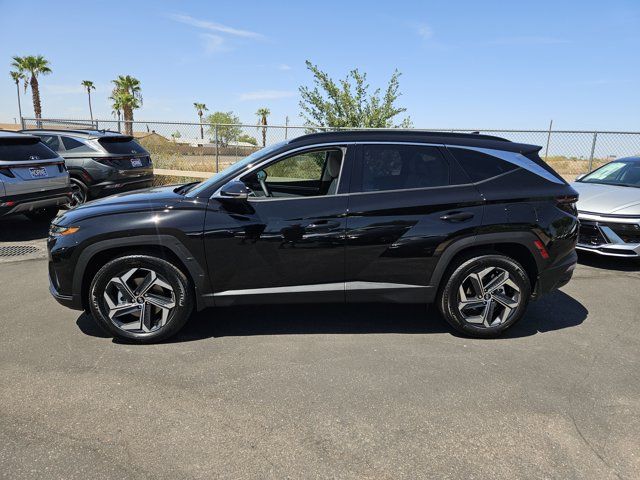 2024 Hyundai Tucson Hybrid Limited