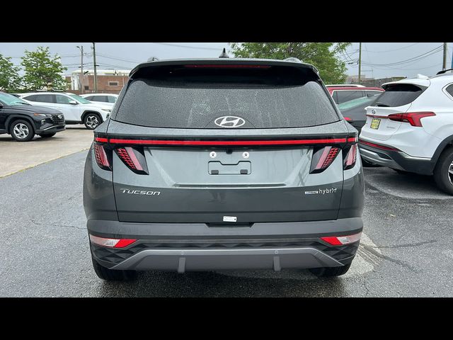 2024 Hyundai Tucson Hybrid Limited