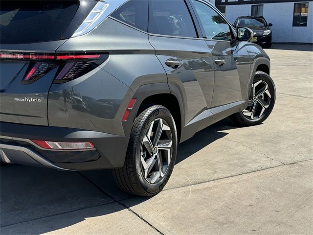 2024 Hyundai Tucson Hybrid Limited