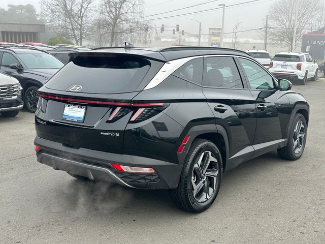 2024 Hyundai Tucson Hybrid Limited