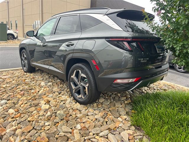 2024 Hyundai Tucson Hybrid Limited