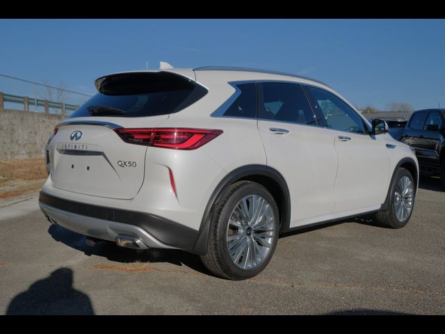 2024 INFINITI QX50 Autograph