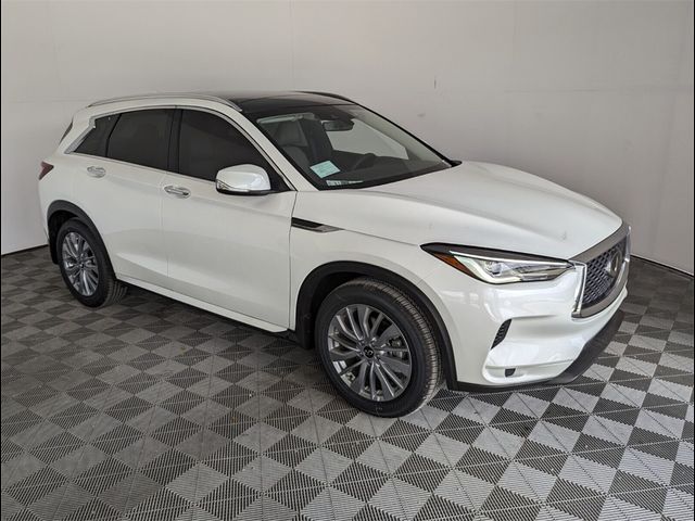 2024 INFINITI QX50 Luxe