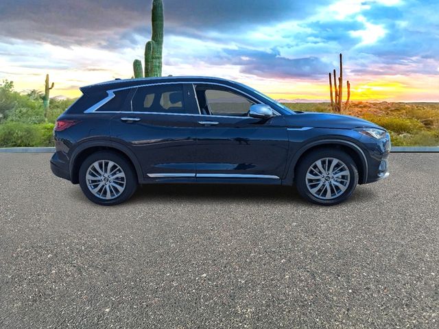 2024 INFINITI QX50 Luxe