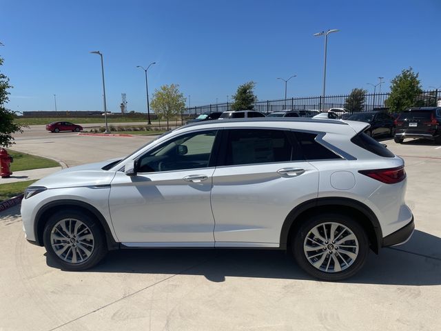 2024 INFINITI QX50 Luxe