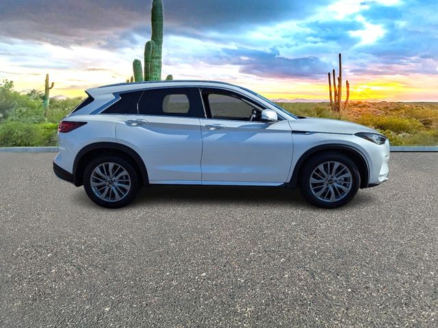 2024 INFINITI QX50 Luxe