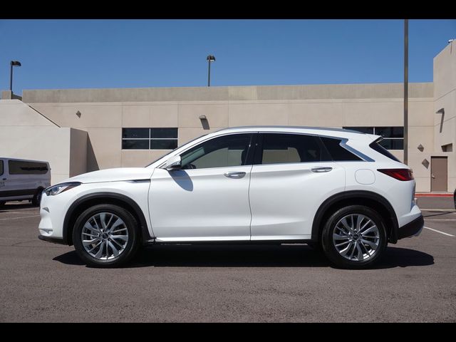 2024 INFINITI QX50 Luxe