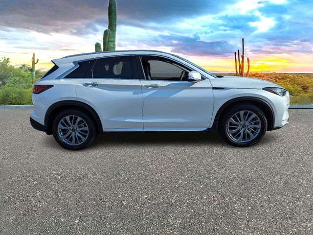 2024 INFINITI QX50 Luxe