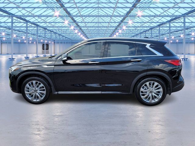 2024 INFINITI QX50 Luxe