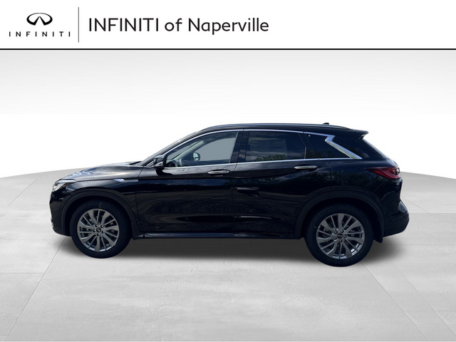 2024 INFINITI QX50 Luxe