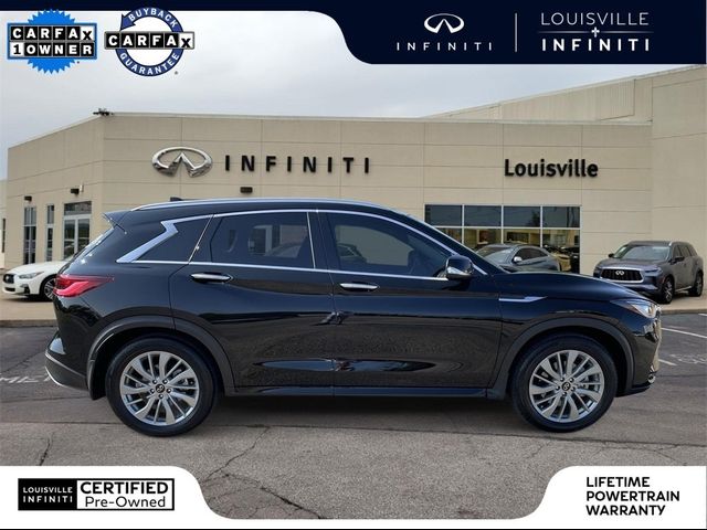 2024 INFINITI QX50 Luxe