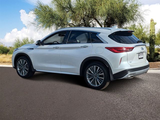 2024 INFINITI QX50 Sensory