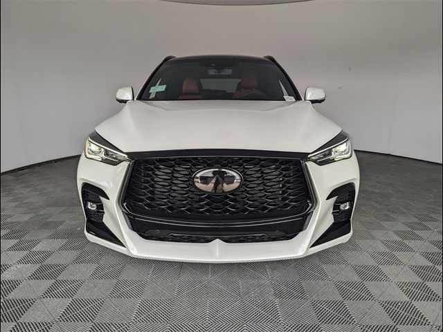 2024 INFINITI QX50 SPORT