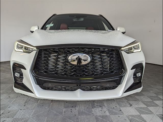 2024 INFINITI QX50 SPORT