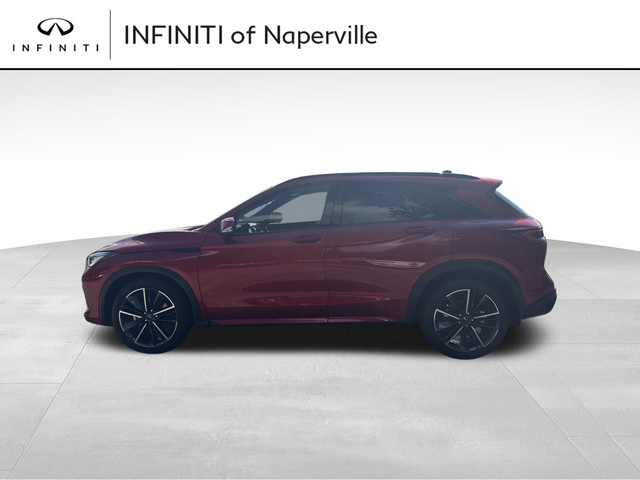 2024 INFINITI QX50 SPORT