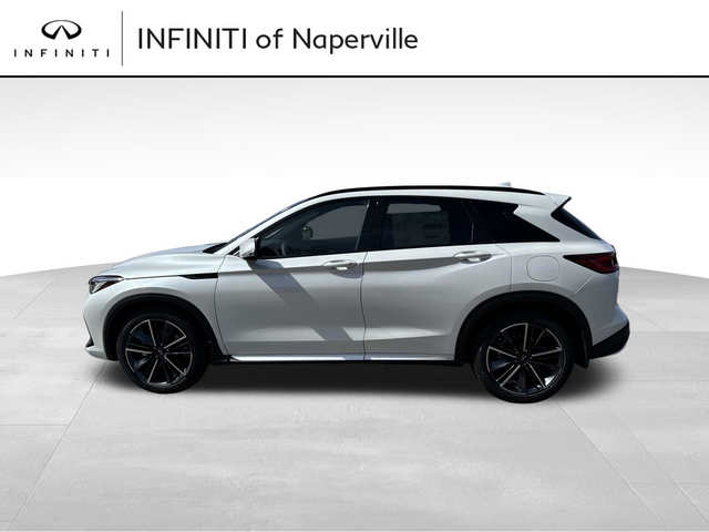 2024 INFINITI QX50 SPORT