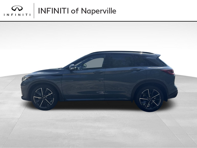 2024 INFINITI QX50 SPORT