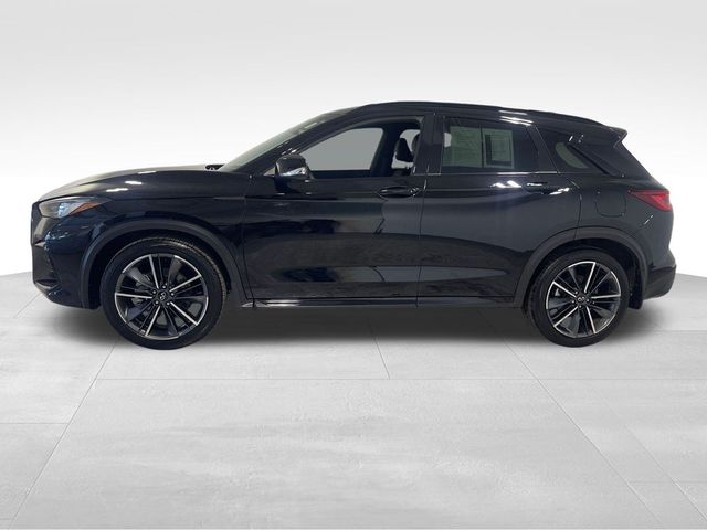 2024 INFINITI QX50 SPORT