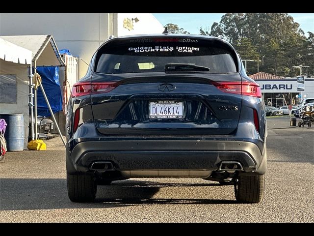 2024 INFINITI QX50 SPORT