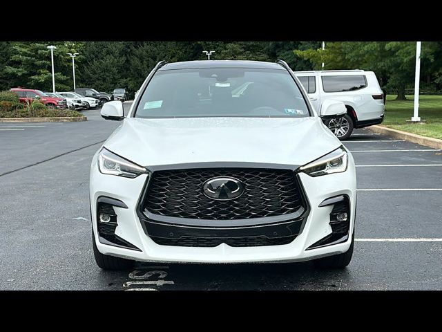 2024 INFINITI QX50 SPORT