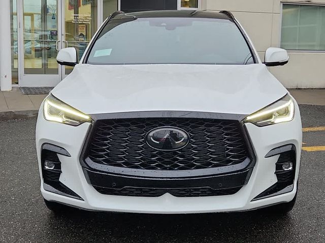 2024 INFINITI QX50 SPORT