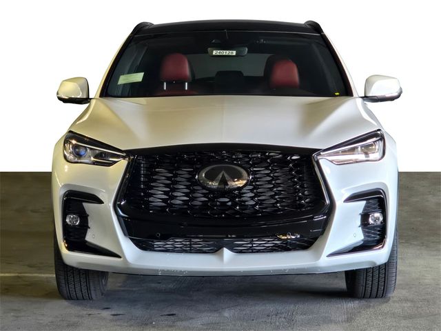 2024 INFINITI QX50 SPORT