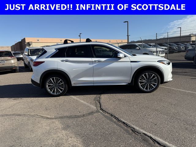 2024 INFINITI QX50 Sensory