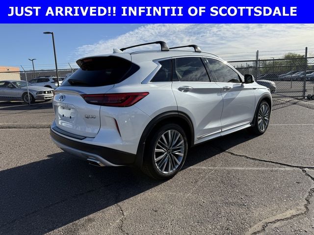 2024 INFINITI QX50 Sensory