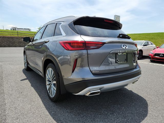 2024 INFINITI QX50 Sensory