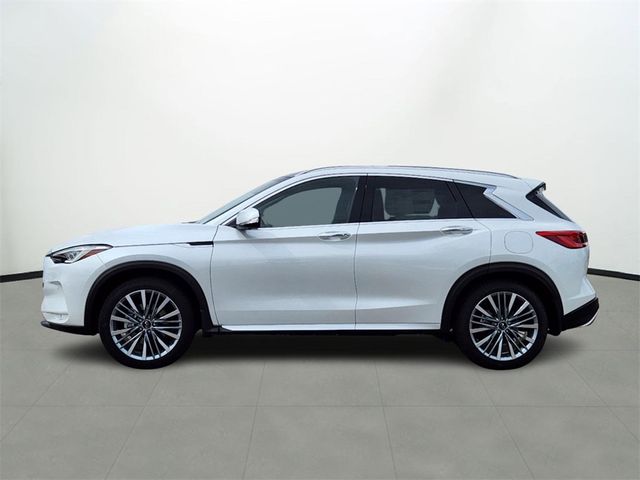 2024 INFINITI QX50 Sensory