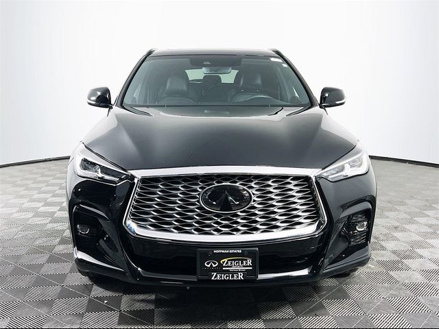 2024 INFINITI QX55 Luxe