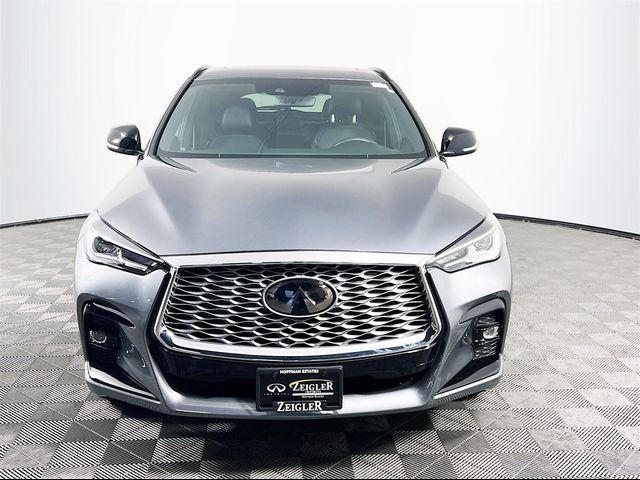 2024 INFINITI QX55 Luxe