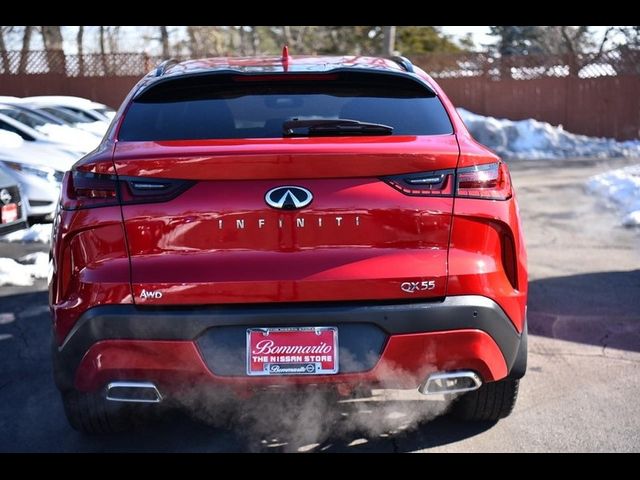 2024 INFINITI QX55 Sensory