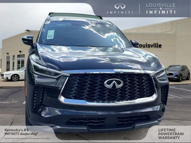 2024 INFINITI QX60 Autograph