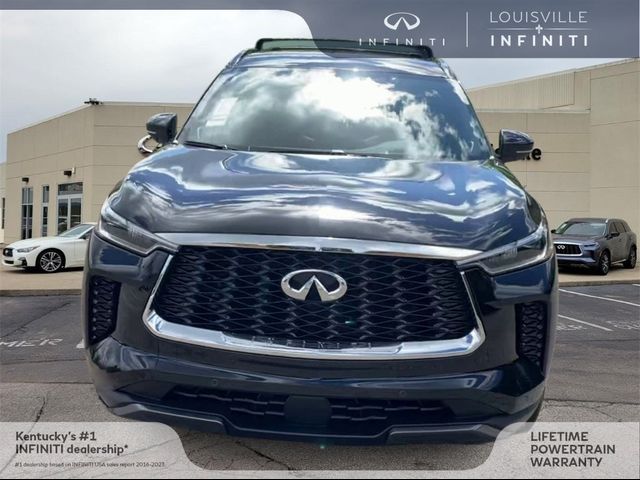 2024 INFINITI QX60 Autograph