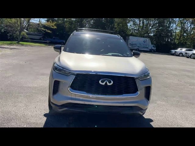 2024 INFINITI QX60 Autograph